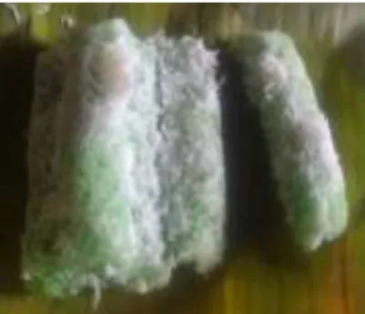 Gambar 15. Putu Coppa 