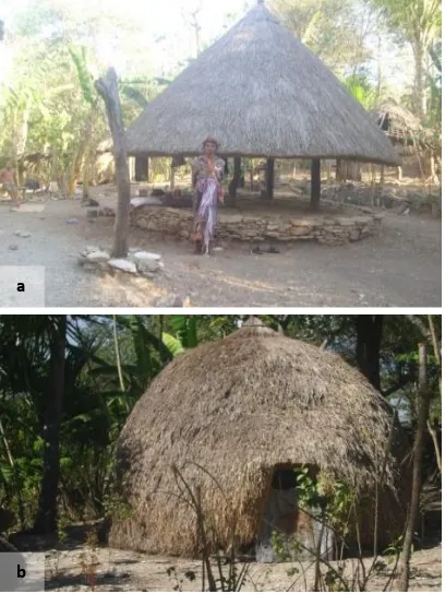Figure 1. The Traditional House of Boti 