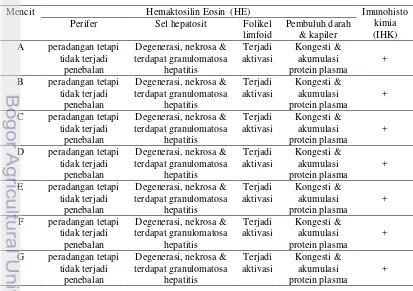 Tabel 1 Hasil pengamatan histopatologi hati mencit yang diinfeksi C. burnetii 