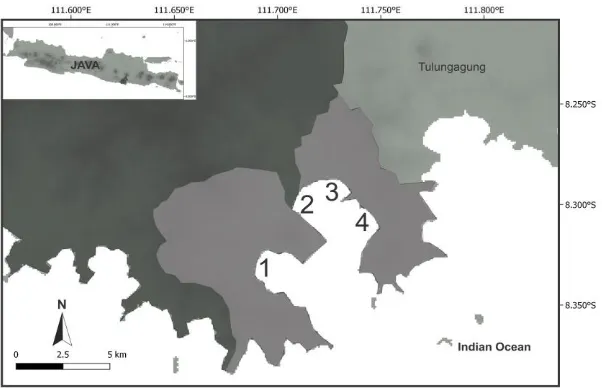Figure 1. Study Sites. Description: Damas (1); Cengkrong (2); Prigi (3); Karanggongso (4); dark grey (Trenggalek Regency); grey (study sites); light grey (other regency) 