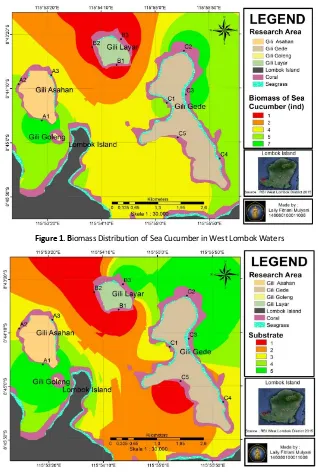 Figure 1. Biomass Distribution of Sea Cucumber in West Lombok Waters 