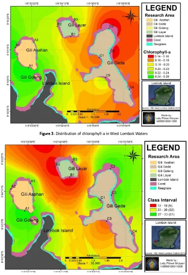 Figure 3. Distribution of chlorophyll-a in West Lombok Waters 