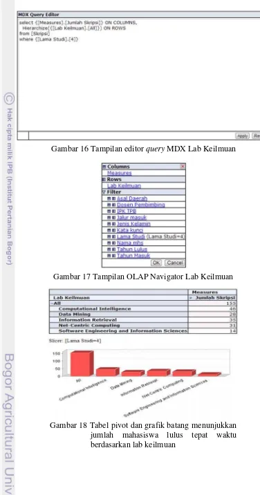 Gambar 16 Tampilan editor query MDX Lab Keilmuan