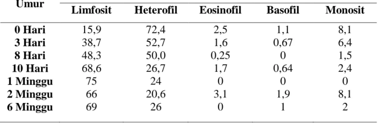 Tabel 1. Perbandingan jumlah leukosit berdasarkan umur ayam (Malichatin, 2003)  Umur 
