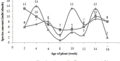Figure 1. Fluctuation of arthropods species richness in Virginia tobacco field, Puyung, during the 2010 growing season 