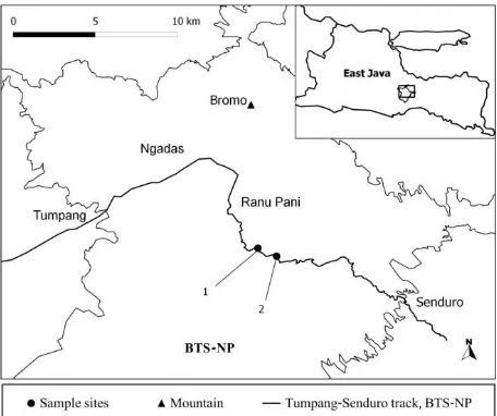 Figure 1. Map of Dacrycarpus imbricatus sample sites. BTS-NP: Bromo Tengger Semeru National Park   