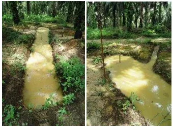 Gambar 5 Teknik konservasi air 