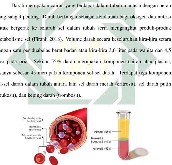 Gambar 2.1 Komponen Darah dalam Tubuh Manusia