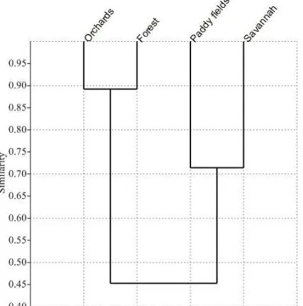 Table 4.Abiotic factor of Rajegwesi, MBNP areas