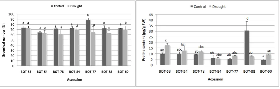Figure 1 Effect of drought stress treatment on (a) plant height of seven glagah accessions