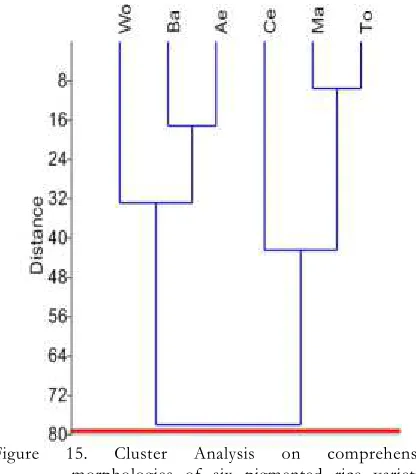 Figure 16. Morphological characters are distinguishing six pigmented rice varieties based on PCA and Biplot Analysis