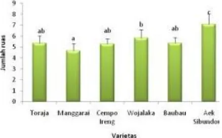 Figure 6.  The stem internode length of six pigmented rice varieties  
