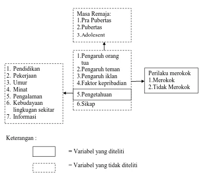 Gambar 2.1: Kerangka konsep penelitian hubungan pengetahuan remaja tentang merokok dengan perilaku merokok pada remaja di Dusun Melik Desa Canditunggal Kalitengah Lamongan Tahun 2010