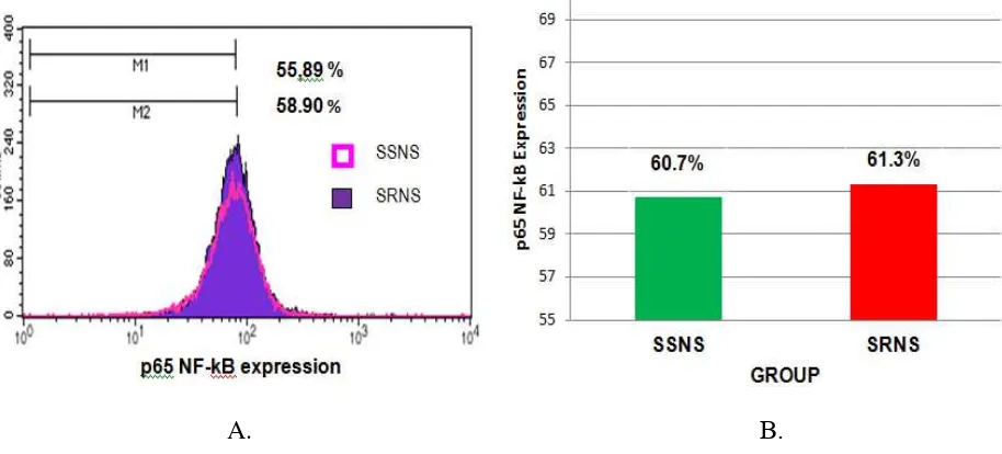 Figure 2. The differences expression of p65NFkB subunit between SRNS and SSNS. A. Representative histograms of p65NF-kB expression showed almost similar data between SRNS group (M2 = 58.90%) compared to SSNS group (M1 = 55.89%)