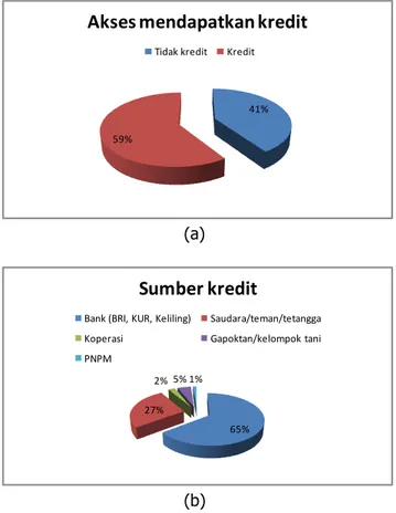 Gambar 6. Persentase  petani  yang  menggunakan  kredit (a) dan sumber kredit (b) 