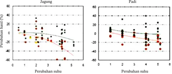 Gambar 1.  Perkiraan penurunan hasil tanaman padi dan jagung di daerah tropis akibat  pemanasan global dan perubahan iklim  