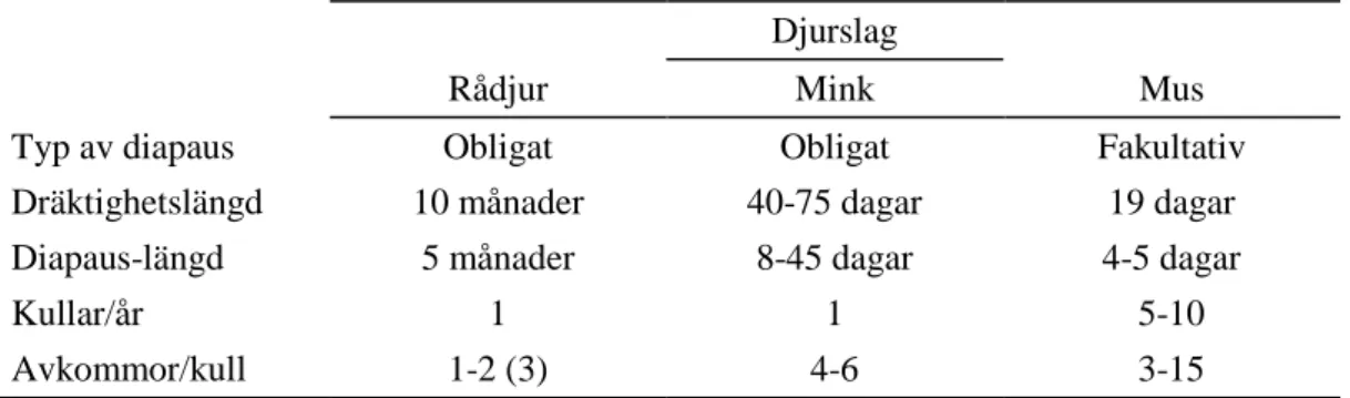 Tabell 1. Djurslagsskillnader mellan rådjur, mink och mus (Aitken, 1974; Mead, 1993; Hyttel et al.,  2010; Ptak et al., 2013)  