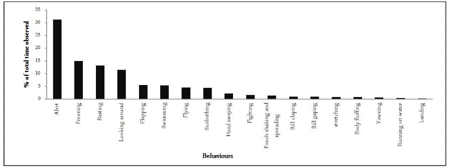 Figure 4. Percentage (%) of total time observed for different behavioural activities