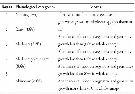 Table 1. The proportion of shoots in the phenological categories [10]. 