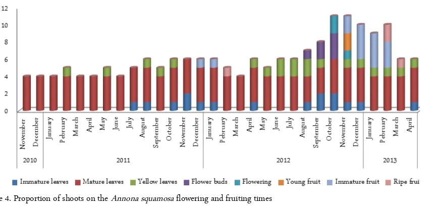Figure 3. Proportion of shoots on the Annona muricata flowering and fruiting times