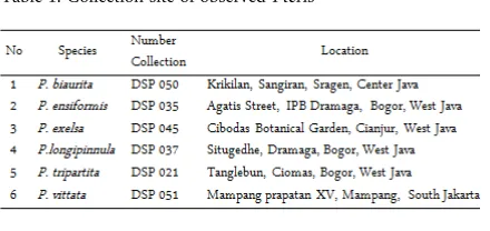 Table 1. Collection site of observed Pteris