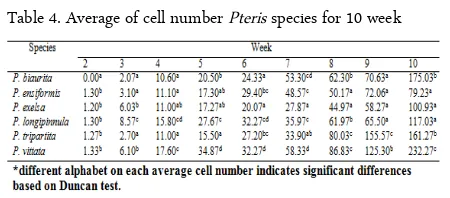 Table 4. Average of cell number Pteris species for 10 week