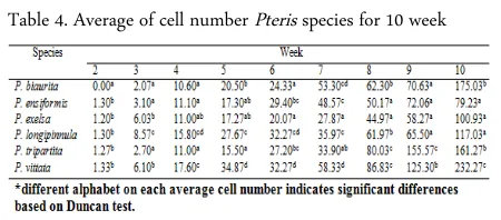 Table 4. Average of cell number Pteris species for 10 week