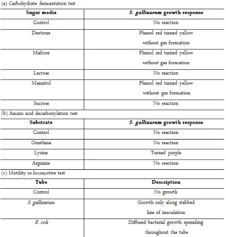 Table 1. A summary of S. gallinarum biochemical characteristics