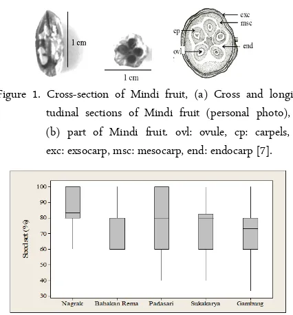 Table 2.  Length and width of Mindi fruit at each location