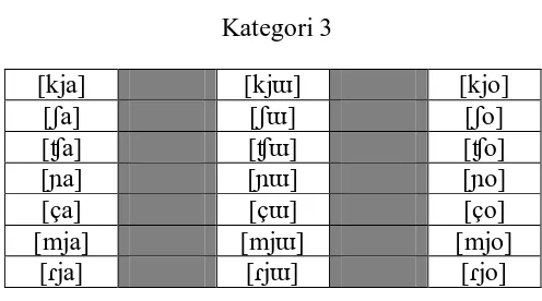 Tabel 3.3 Kategori 3 