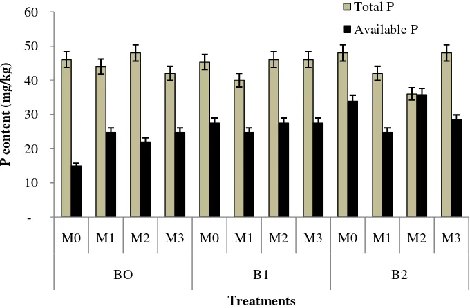 Figure 2. Uptake of P by maize as affected by biochar amendment and AMF inoculation. *) see Table 1