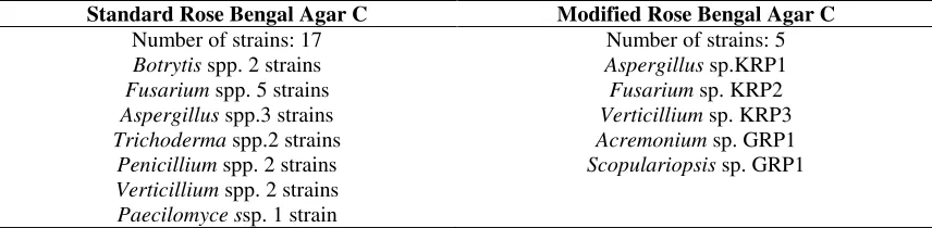 Table 1. Fungal strains isolated on standard and modified RBAC with glyphosate herbicide as screeningagent of the sole source of phosphorus.