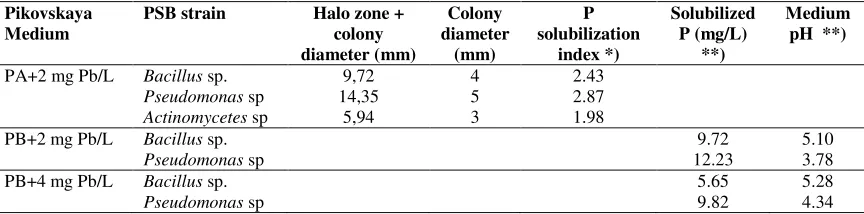 Table 2.Halo zone and colony diameter, P solubilization index in Pikovskaya agar (PA) and solubilizedP, medium pH in Pikovskaya broth (PB)