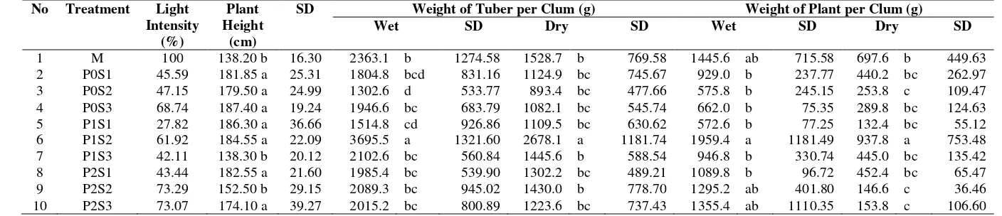 Table 2. Result of Duncan Test: the influence of pruning and planting space of Manglieta glauca BI stands on growth and production of 8 months old Canna edulisKer (plant height, tuber weight, and plant weight)
