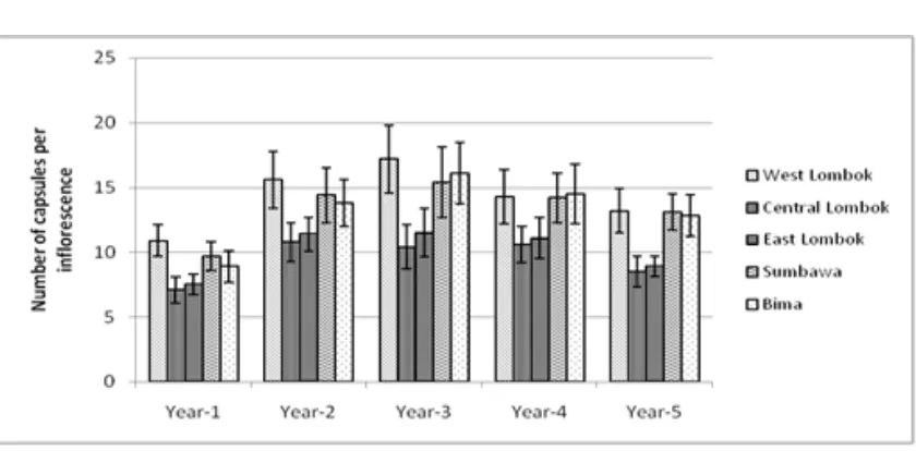 Figure 1. Number of capsule per inflorescence of West Nusa Tenggara accessions at the first five years ofcultivation