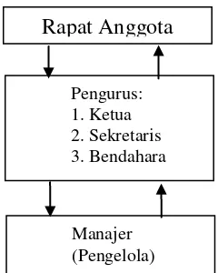 Gambar 1. Struktur Organisasi Koperasi  Sumber : Sitio dan Halomoan, 2001 