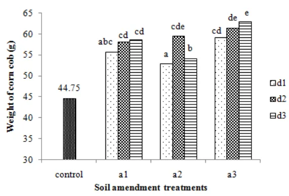Figure 3. Effect of the soil amendment and dose of application doses on weight of maize cob (LSD 5% =3.99)