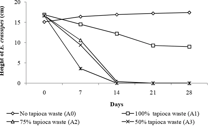Figure 3. Growth of water hyacinth at various concentrations of tapioca wastewater