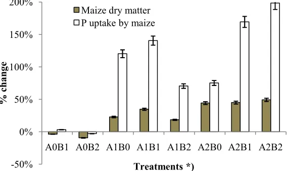 Figure 1. P uptake by maize due to application of biochar and fresh litter. *) see Table 1