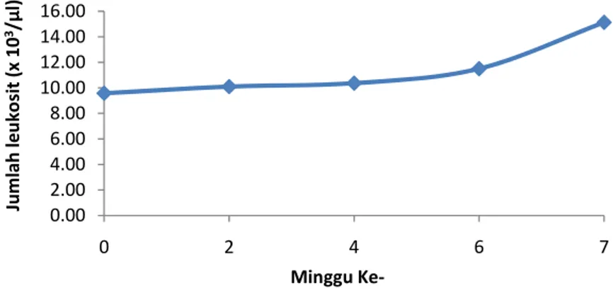 Gambar 9  Perbandingan rata-rata jumlah leukosit ( x10 3 /μl) pada domba sebelum  dan setelah vaksin 
