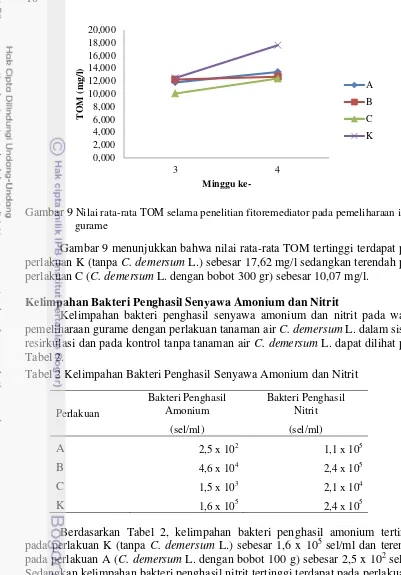 Gambar 9 Nilai rata-rata TOM selama penelitian fitoremediator pada pemeliharaan ikan 