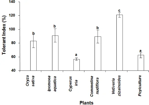 Figure 3. Mean Tolerance Index (%) of various types of plant after phytoremediation process