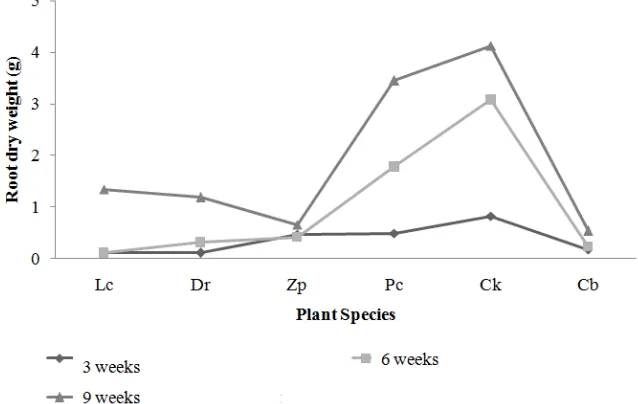 Figure 2. The shoot dry weight of tested plant speciesat 3, 6and9 weeks. Lc = Lindernia crustacea, Dr =Digitaria radicosa, Zp = Zingiber purpureum, Pc = Paspalum conjugatum, Ck = Cyperuskyllingia, and Cb= Caladium bicolor.