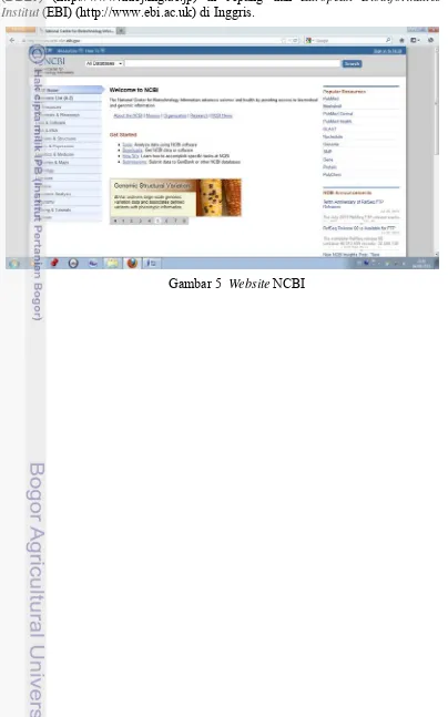 Gambar 5  Website NCBI 