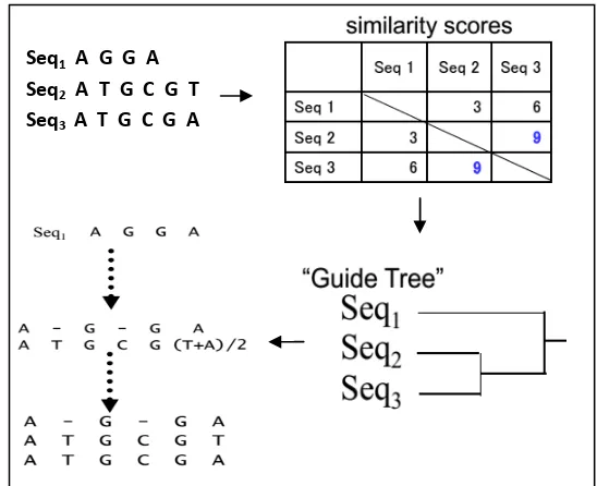 Gambar 10 Prosees algoritme progressive sequence alignmentt 