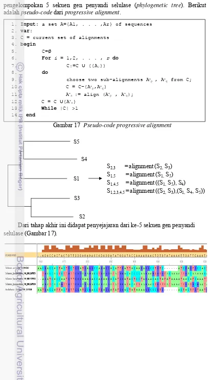 Gambar 17  Pseudo-code progressive alignment 