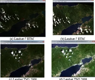 Figure 3. Geometric correction image (Landsat TM5 2009)
