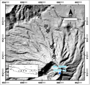 Figure 1. The toposequence scheme of the northern slope of KawiMountain. P1Pedon 1, 35o, 2150 m(Typic Hapludands), P2 = Pedon 2, 35o,1610 m (Typic Hapludands), P2 = Pedon 3, 26o,1195 m (HumicUdivitrands), P4 = Pedon 4, 14o,1149 m (AndicDystrudepts), P5 = Pedon 5 =, 5o,1061 m (Ruptic-AlficDystrudepts)