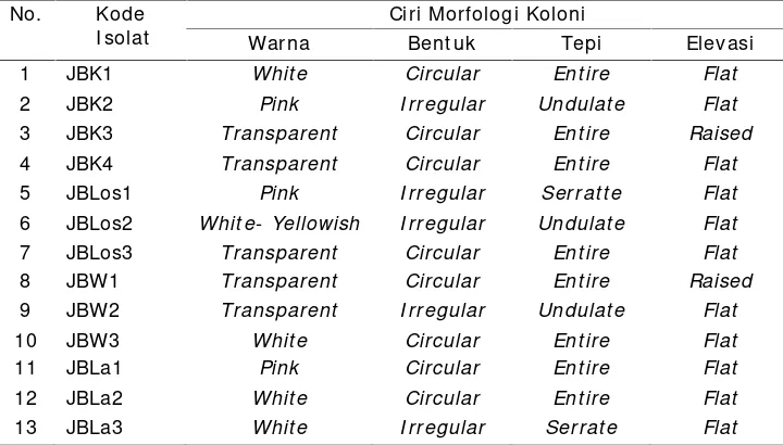 Tabel 1. Hasil Pengamatan Morfologi Koloni Bakteri pada Medium MSM +  Diazinon 0,5 Ppm