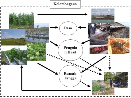 Gambar 1.  Visualisasi sistem pertanian terpadu (dimodifikasi dari Sodikin, 2004) 